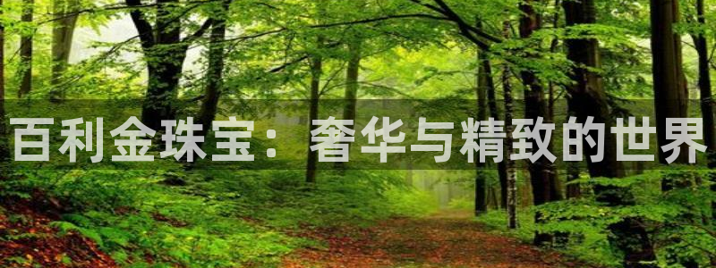 新航娱乐有限公司地址：百利金珠宝：奢华与精致的世界