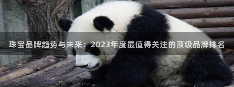 新航娱乐管理有限公司：珠宝品牌趋势与未来：2023年度最值得