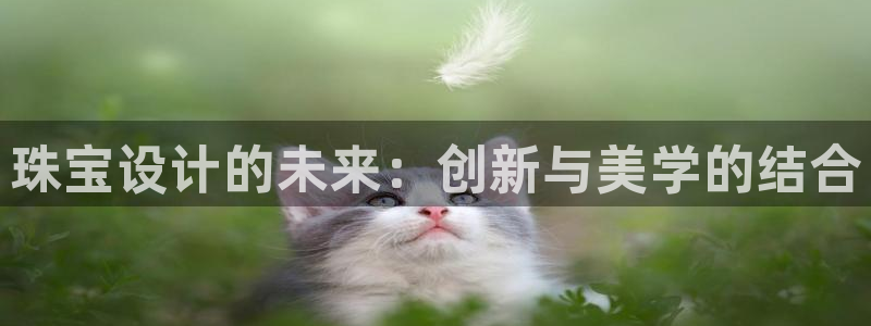 新航娱乐官网入口