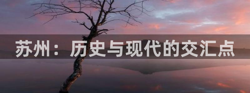 新航娱乐公司怎么样啊：苏州：历史与现代的交汇点