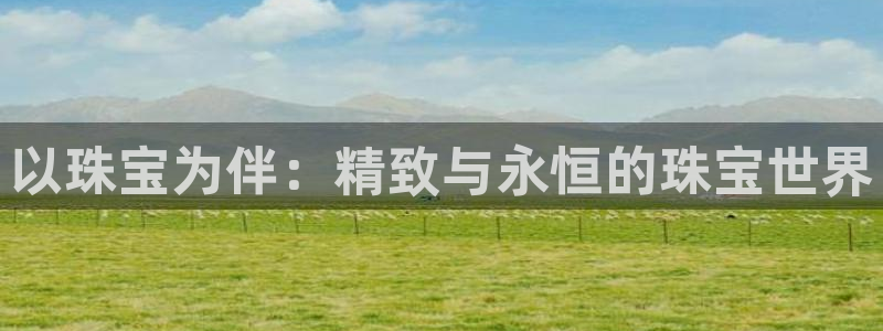 新航娱乐平台注册：以珠宝为伴：精致与永恒的珠宝世界