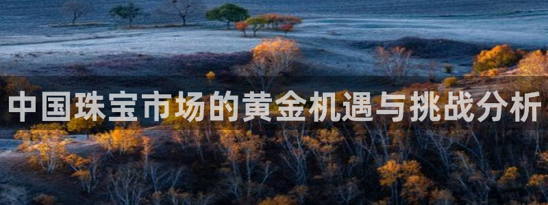 新航娱乐娱乐官方网站：中国珠宝市场的黄金机遇与挑战分析