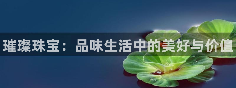 新航娱乐app下载安卓
