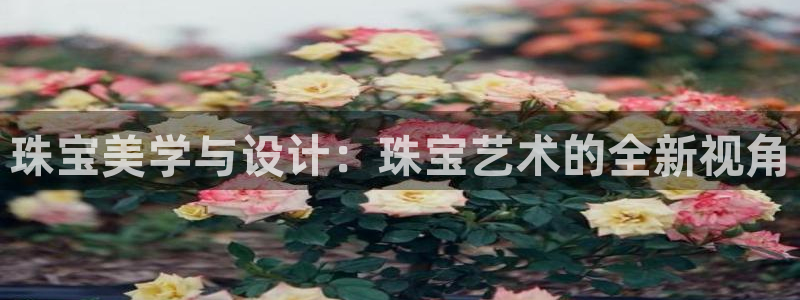 新航娱乐直开怎么下载
