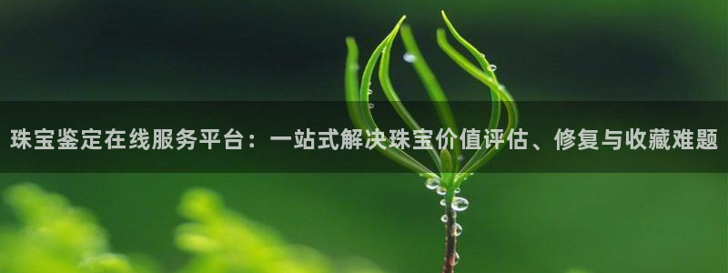 中国证券新航娱乐官网