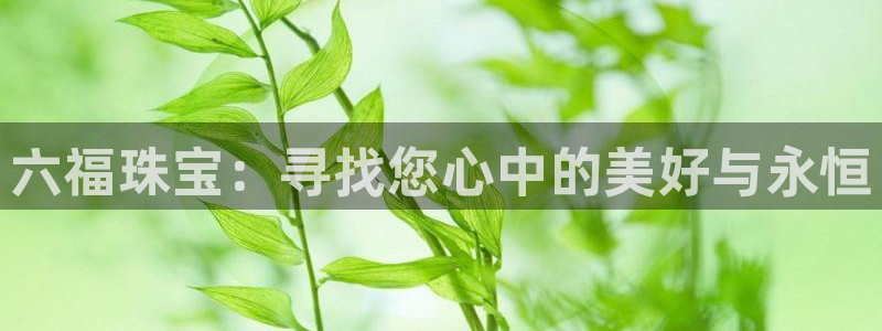 新航娱乐属于什么级别:六福珠宝:寻找您心中的美好与永恒