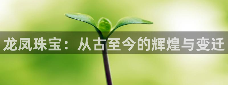 新航娱乐直开怎么下载:龙凤珠宝:从古至今的辉煌与变迁