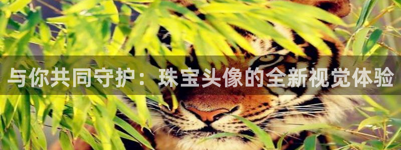 新航娱乐棋牌:与你共同守护:珠宝头像的全新视觉体验