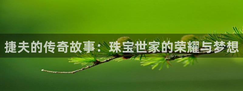 新航娱乐有限公司怎么样:捷夫的传奇故事:珠宝世家的荣耀与梦想