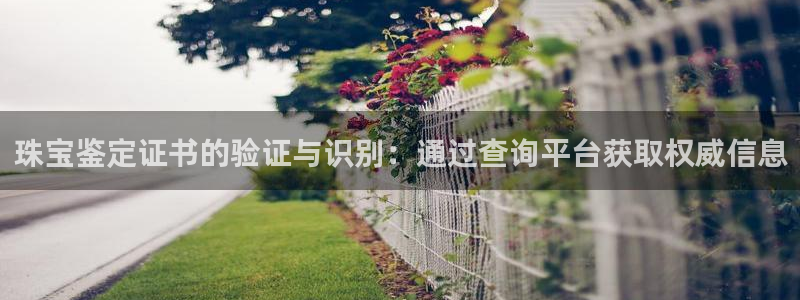 新航娱乐公司问题解决:珠宝鉴定证书的验证与识别:通过查询平台