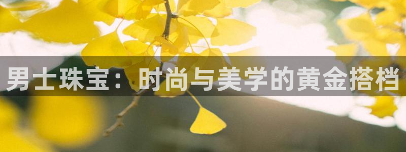 新航娱乐旗下平台有哪些:男士珠宝:时尚与美学的黄金搭档