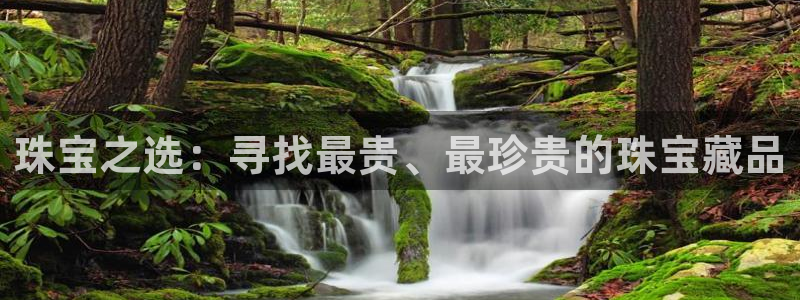 新航娱乐被投诉的原因