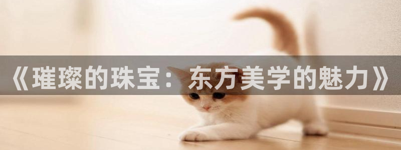 新航机上娱乐