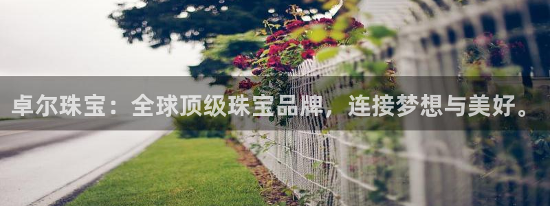 新航娱乐最新开户信息