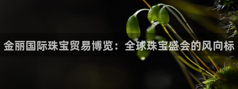 萧山娱乐新航母阿里巴巴:金丽国际珠宝贸易博览:全球珠宝盛会的