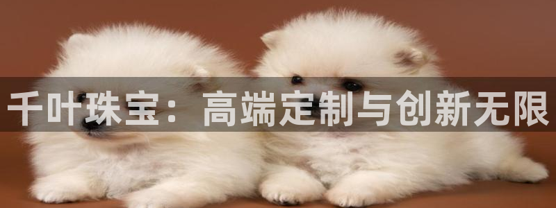 新航娱乐q