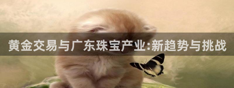 新航海娱乐会所电话地址:黄金交易与广东珠宝产业:新趋势与挑战