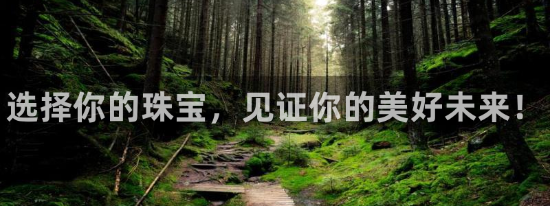 邯大新航娱乐
