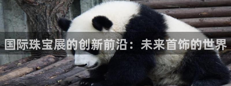 新航娱乐被投诉的原因：国际珠宝展的创新前沿：未来首饰的世界
