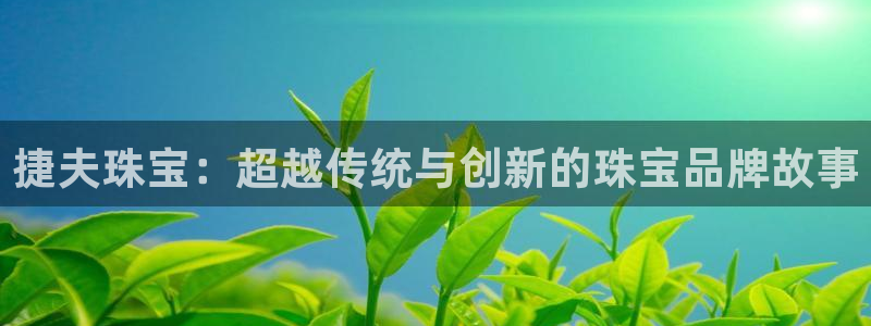 新航娱乐公司问题分析