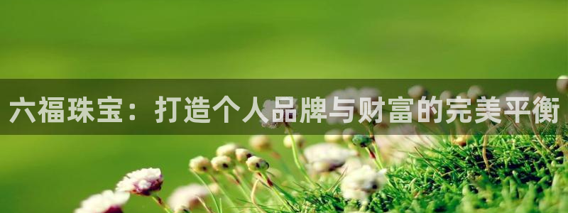 新航娱乐公司问题解决