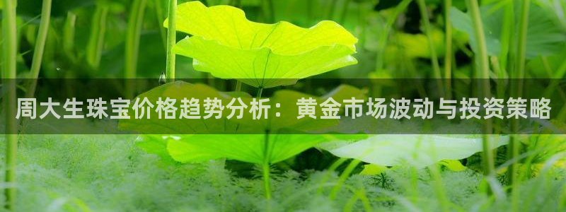新航娱乐公司简介资料:周大生珠宝价格趋势分析:黄金市场波动与
