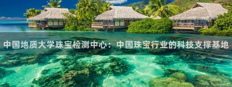 新航娱乐属于什么级别